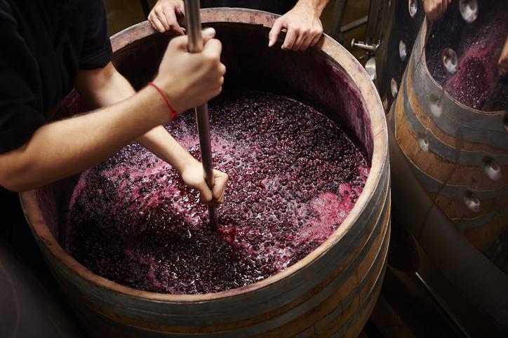 Red Wine Making  how red wine is made